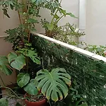 Very Small House