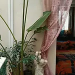 Very Small House Appartement *