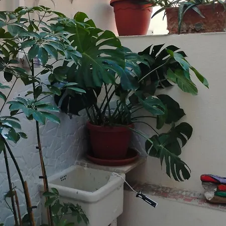 Apartment Very Smail House Augusta