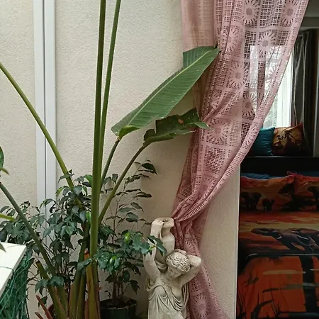 Very Smail House Apartment *