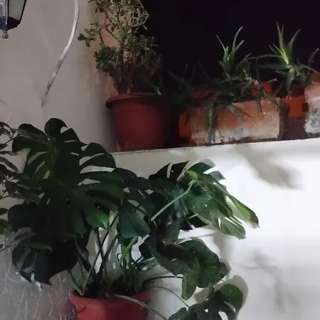 Very Small House *