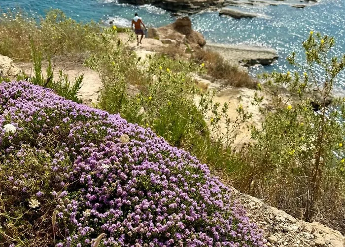 Very Small House אוגוסטה